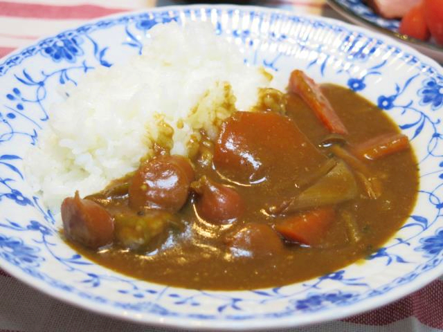 味噌汁をカレーうどんにリメイクしてみた。住んでいたら都になってきたドイツでの日々
