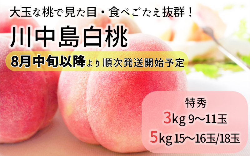 桃の保存方法は冷蔵庫に入れてはいけない？「甘さ」と「日持ち」を同時に叶える保存温度