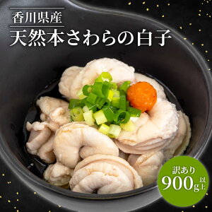 鮮魚通販 豊洲 Okawari鮮魚店 特上鰆「トロさわら」 – 豊洲おかわり鮮魚店