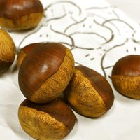 栗の渋皮煮が硬い！甘くない！ほっくりと復活させる方法はある？ - お役立ち情報サーチ