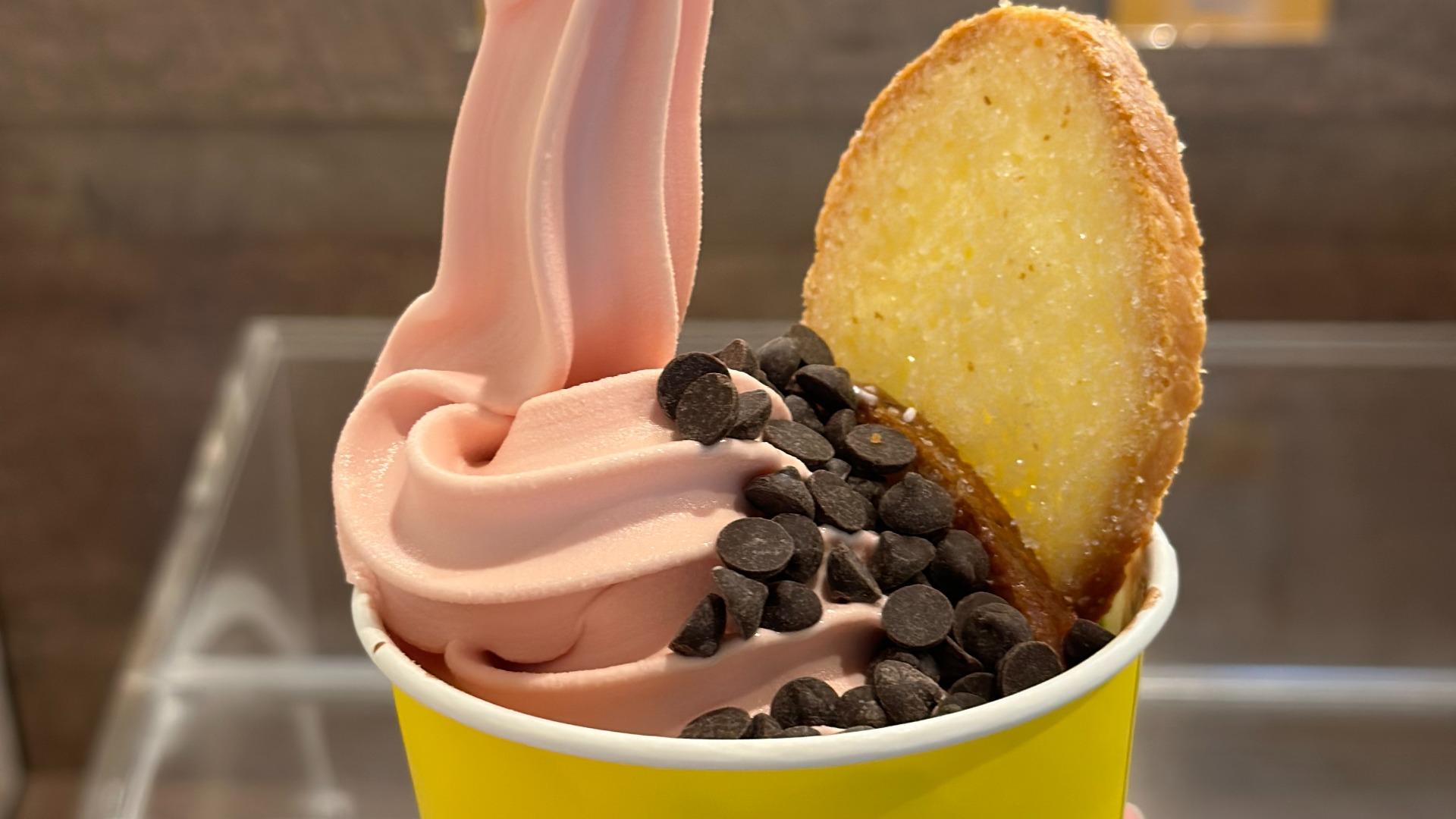 ラスクラ 氷の女王モナスカジ攻略方法 凍てつく羽音困ったら読め