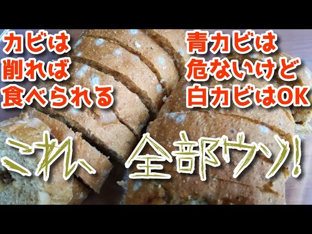パンに生えたカビを食べても大丈夫！？カビの危険性を徹底解説
