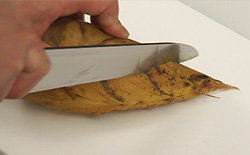 朝掘り！新鮮たけのこの茹で方、と朝時間.jp掲載のお知らせ : cafeごはん。ときどきおやつ