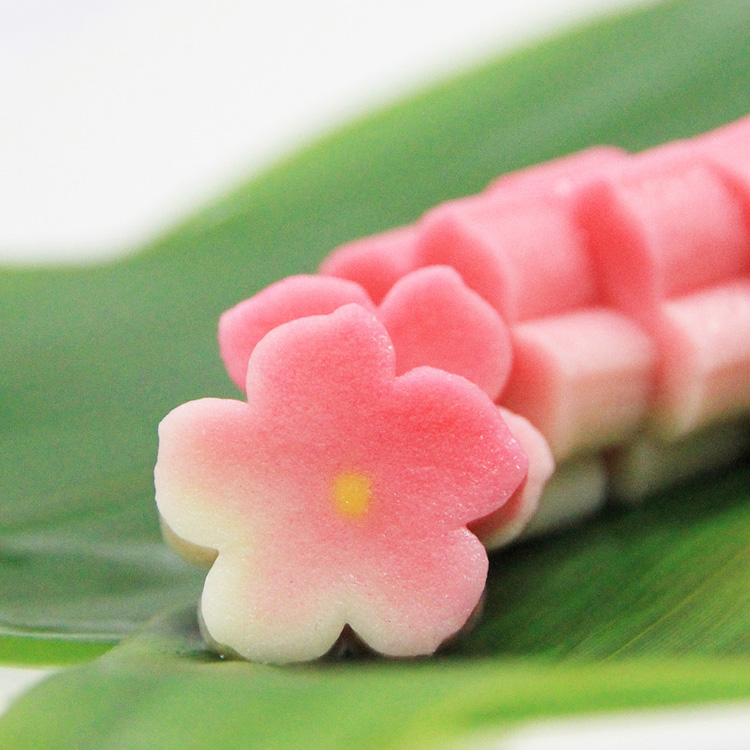 Cafeふふふあん by 半兵衛麸』へデザイン学校様の懇親会用パーティー料理のお届け京都の 料理 工房ホワイトファミリー パーティー・会議・イベントなどに便利な和・洋・中のケータリングレストラン