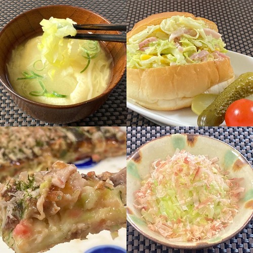 市販の千切りキャベツは冷凍すると重宝するかお好み焼きで検証 - momo-mimiブログ