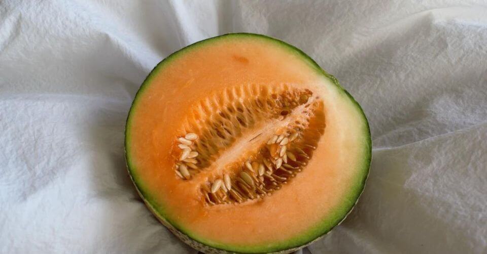 料理の基本！ メロンの冷凍保存方法のレシピ動画・作り方デリッシュキッチン