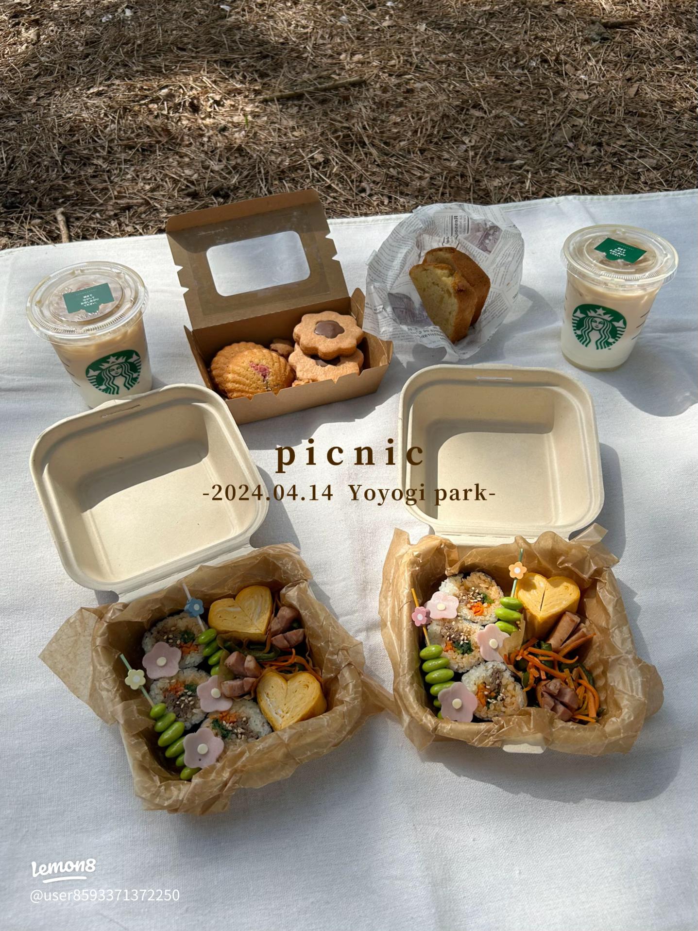 弁当箱のおすすめ30選 おしゃれなモノから大容量モデルまで紹介！ランチタイムもこれで楽しくビックカメラ.com