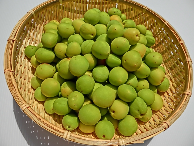 梅干しサワー専門店」が教える！“本当に美味しい”梅干しサワーの作り方nomooo ノモー