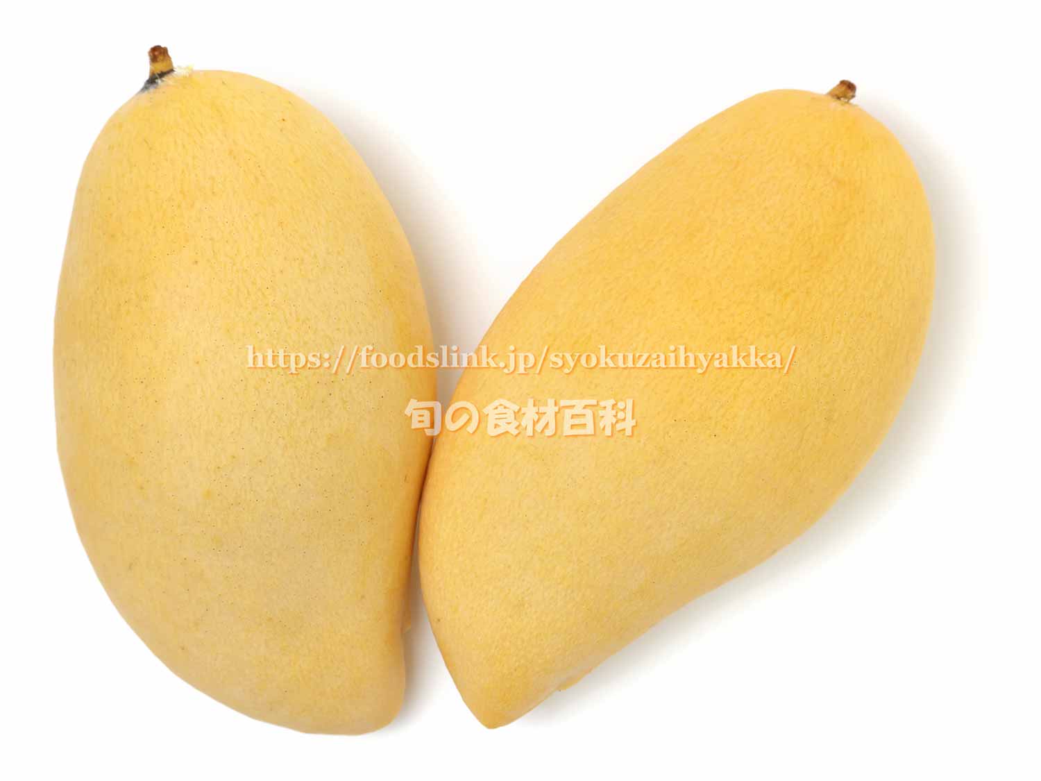 国産マンゴーの魅力と栄養価