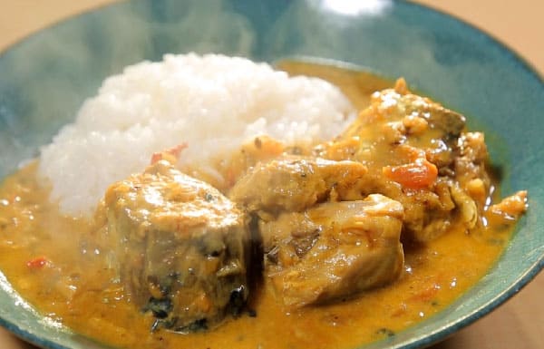 スパイスカレーキット はじめての本格サバ缶カレーしまね食品バイヤーズカタログ