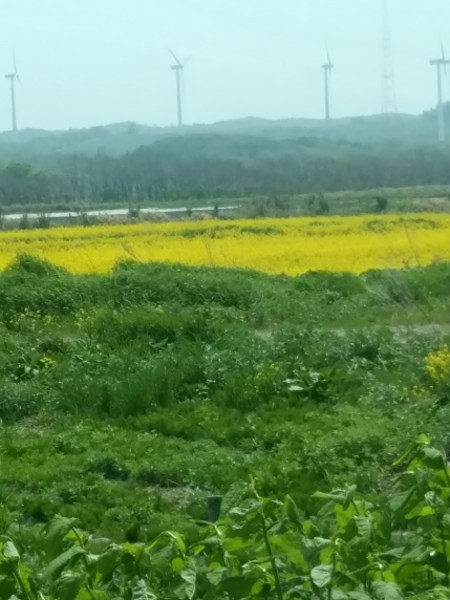 気づかないうちに食べている虫の話 - 株式会社バイオーム