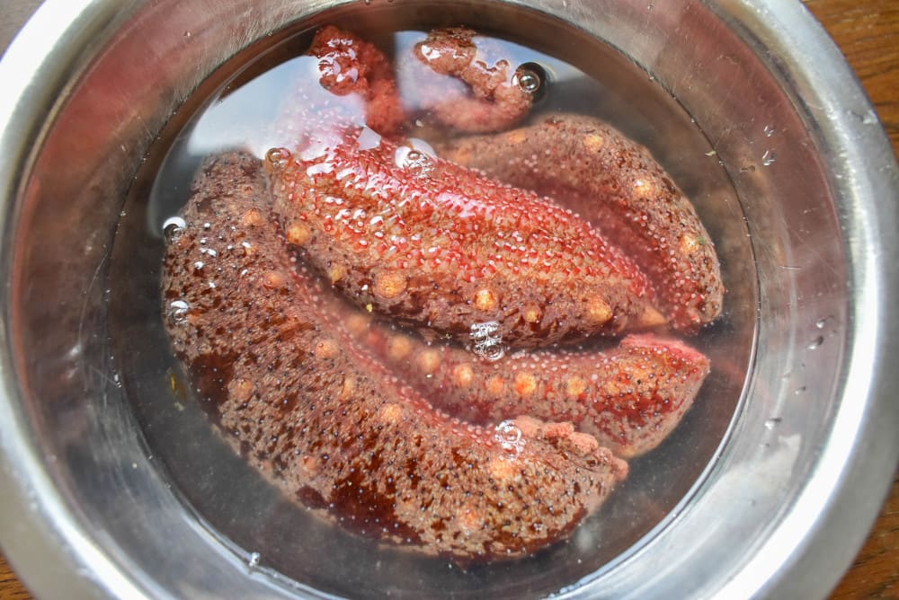 室蘭店：噴火湾産 なまこ酢 400円回転寿司割烹 伊達和さび