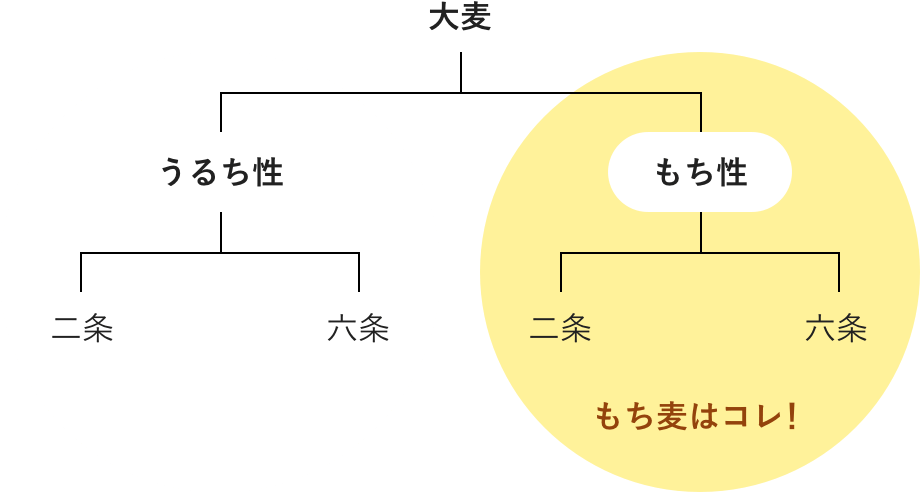押し麦 愛媛県産はだか麦 5kg+もち麦 愛媛県産ダイシモチ 1kg＞ ※翌月末