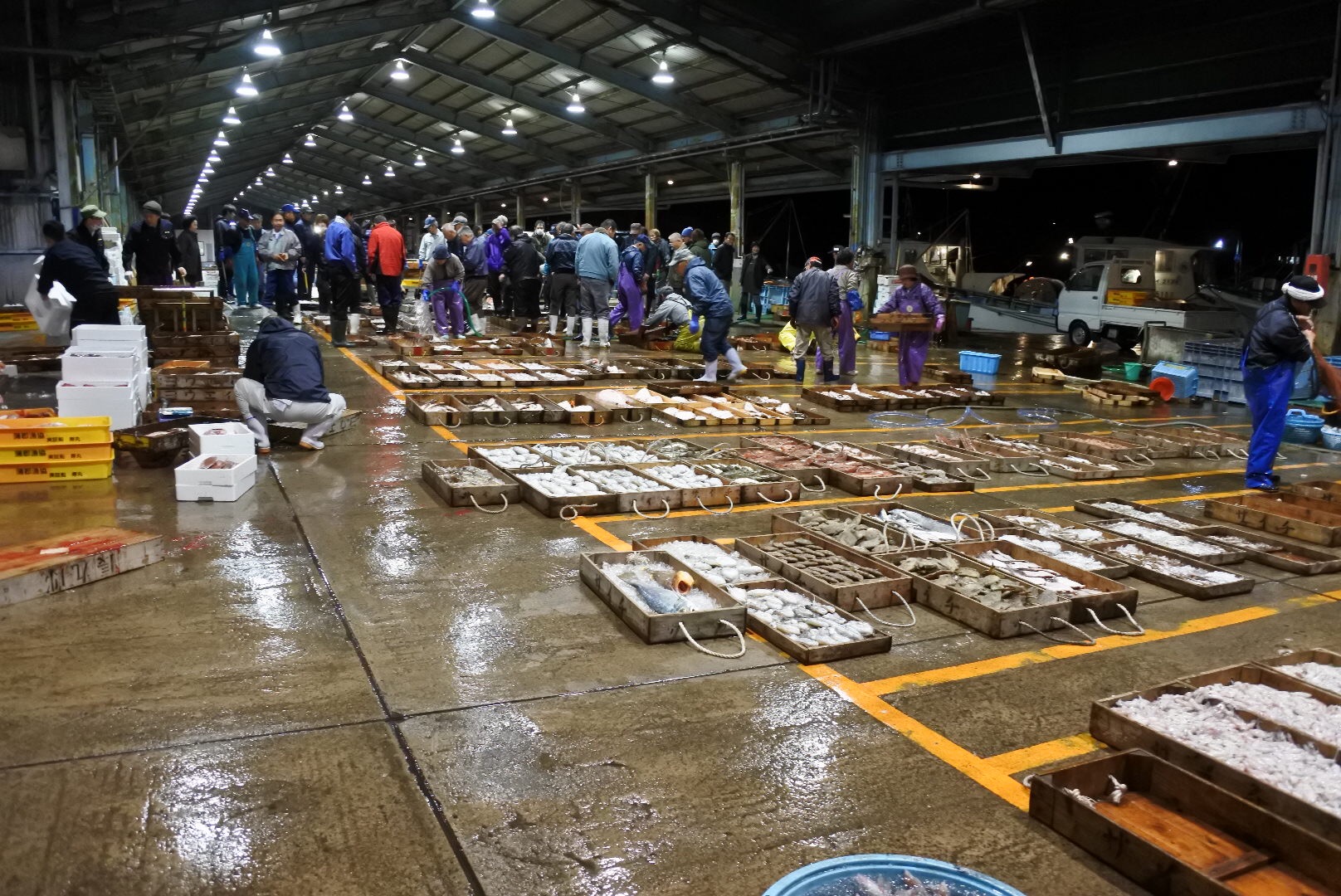 ドライブ×お魚直売所 ピチピチ鮮魚を買いに行こう！村上.新潟.長岡.柏崎.上越.糸魚川 7選Car＆Life Niigata