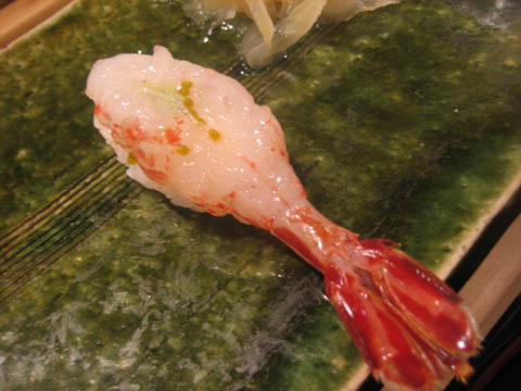 エビの尻尾GANREF