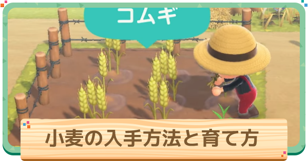あつ森 無人販売所付きのおしゃれな畑のレイアウト - いつもの暮らしをちょっと良くする