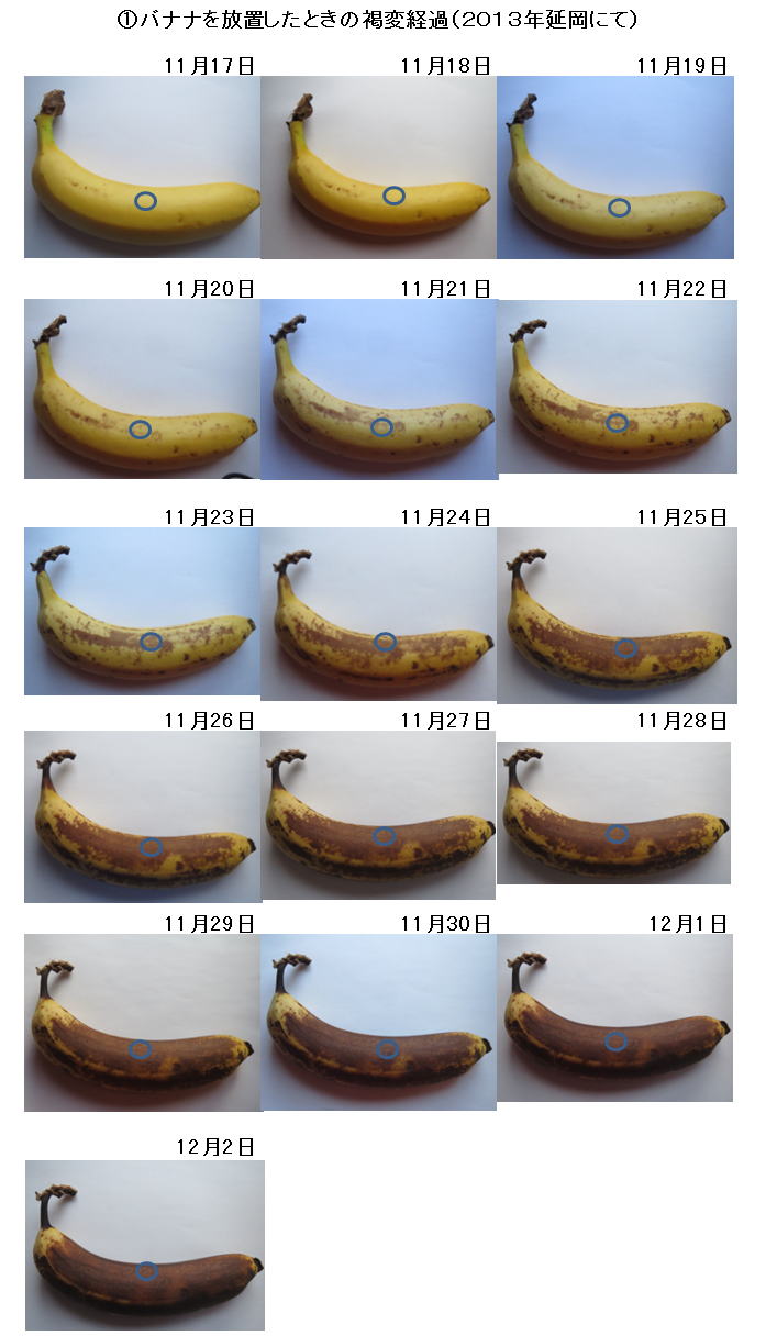 黒いバナナは食べても平気？皮や果肉が黒ずむ理由と腐ったバナナとの見分け方 - トクバイニュース