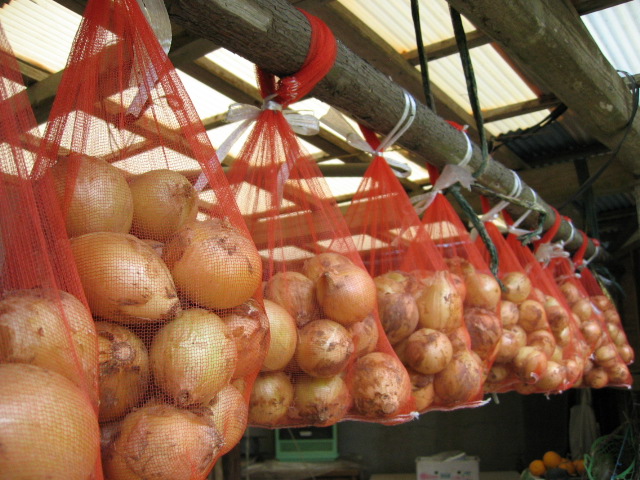 カットして余ったたまねぎの保存方法の効果を検証してみたら驚きの結果に生活知恵袋