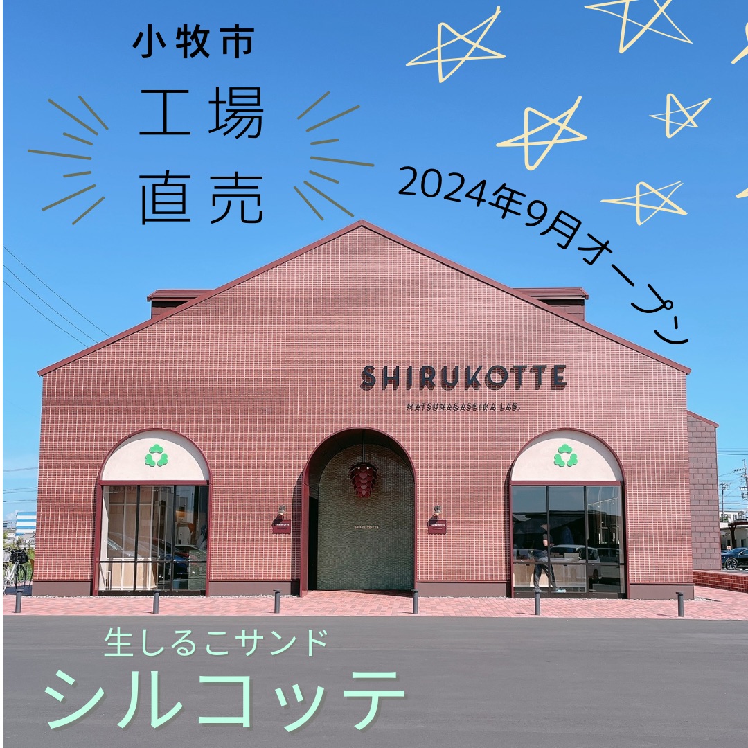 名古屋土産は生しるこサンド♪ごはんとおやつと