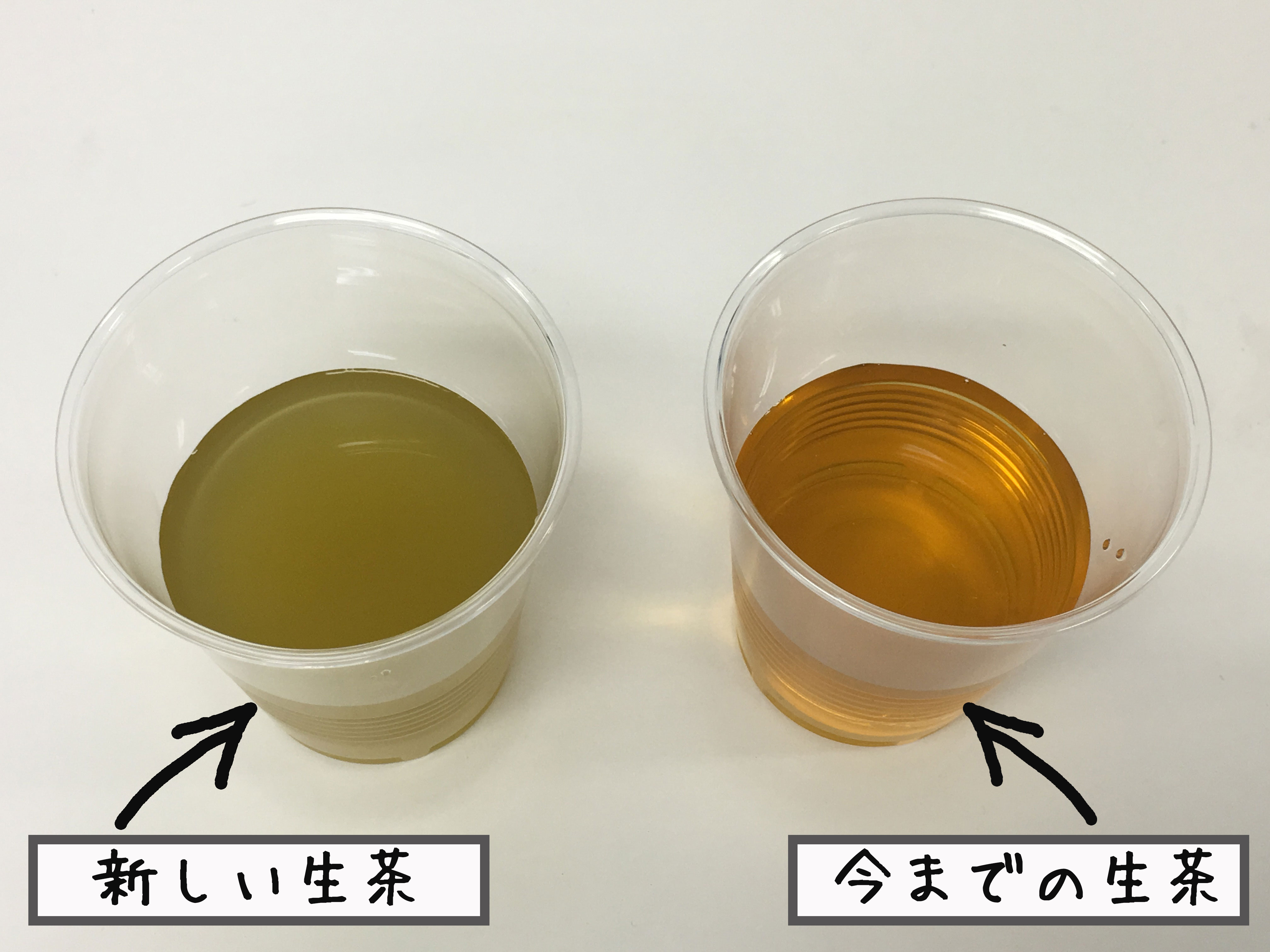 お茶の水色が違うのはなぜ？淹れ方や製法でも変わる色の秘密
