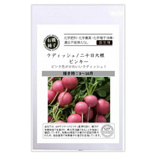 自然農の赤カブ、白カブ、もものすけを使って, いろんな料理に変身させてみました♡, 生でシャキッと食べるのもよし、, 焼いてもよし、煮てもよしで,どれもこれも美味しかったです♡, シンプル工程しかしないので、, 凝った料理はできないけど、, 1番のお気に入りはミンチと合わせた料理かなぁ？,ミンチの火入れすぎちゃったけど😆笑, でもミンチの油がカブに絡んで, めちゃくちゃ美味しかったなぁ♡♡,