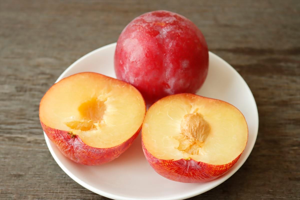 ソルダムとはどんなスモモ？特徴やおすすめの食べ方を解説食・料理オリーブオイルをひとまわし