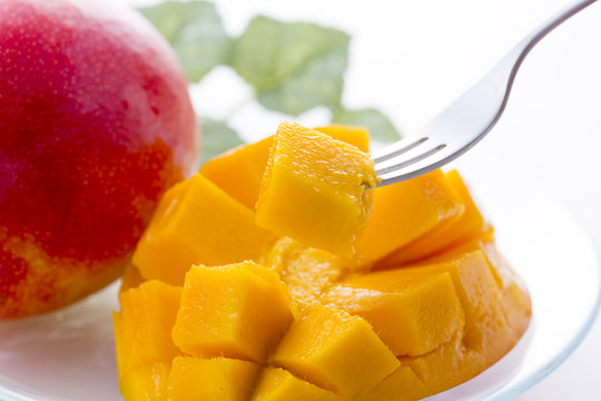 宮崎マンゴーの写真素材写真素材なら「写真AC」無料 フリー ダウンロードOK