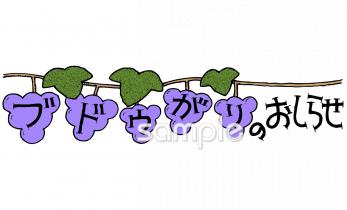 ぶどうとマスカット：イラスト無料