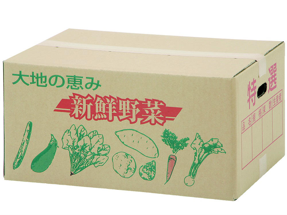 農家様向けの段ボール格安価格のダンボール 段ボール 通販・購入・販売なら アースダンボール