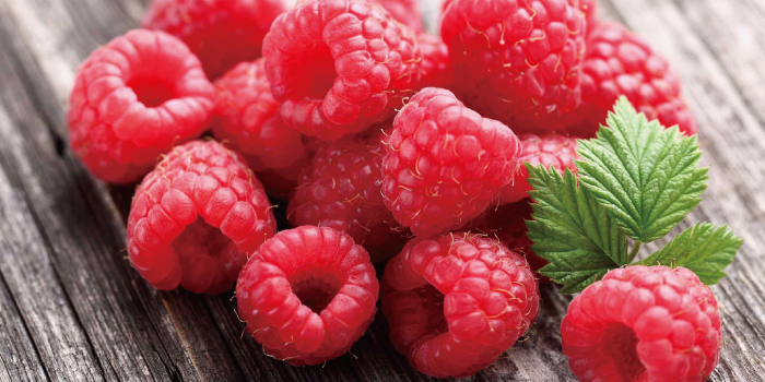 簡単キイチゴ栽培！家庭果樹ラズベリーとブッラクベリー違いと育て方園楽project~園芸・植物を楽しむ情報サイト～