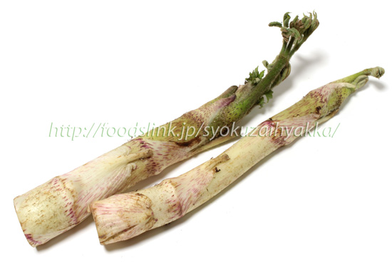 山うど 山菜きのこ直売所「ちいくろ」