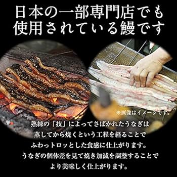丑年夏の土用の丑の日に。「うな丼」復活！～うなぎ