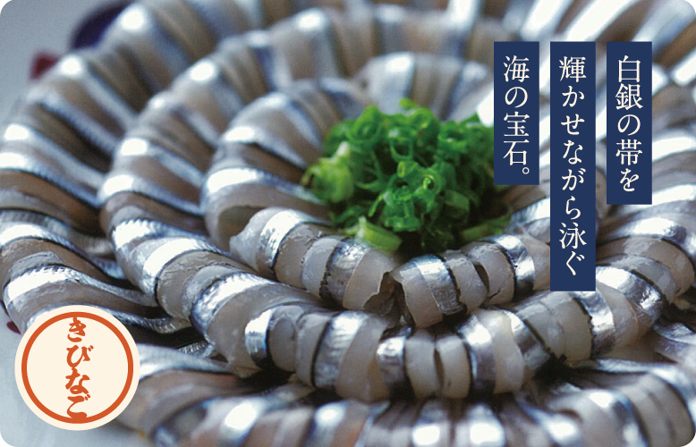 マリンマルシェ,鹿児島イベント,マリン ,マルシェ ,マリンポート,鹿児島ラーメン ,醤油ラーメン ,豚骨ラーメン,鶏ガラ,黒豚,チャーシュー麺,角煮,軟骨,キッチンカー,鹿児島市,鹿児島,地元 ,10月12日日曜日鹿児島市のマリンポートで素敵なマルシェが開催されます🙆🙌🙆,