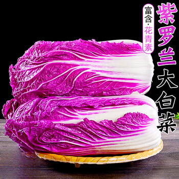 紫白菜 珍しい野菜株式会社吉野ヶ里あいちゃん農園