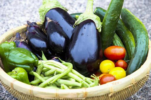 冬野菜のかご盛りの写真素材FYI00025983ストックフォトの Qlean Market キュリンマーケット