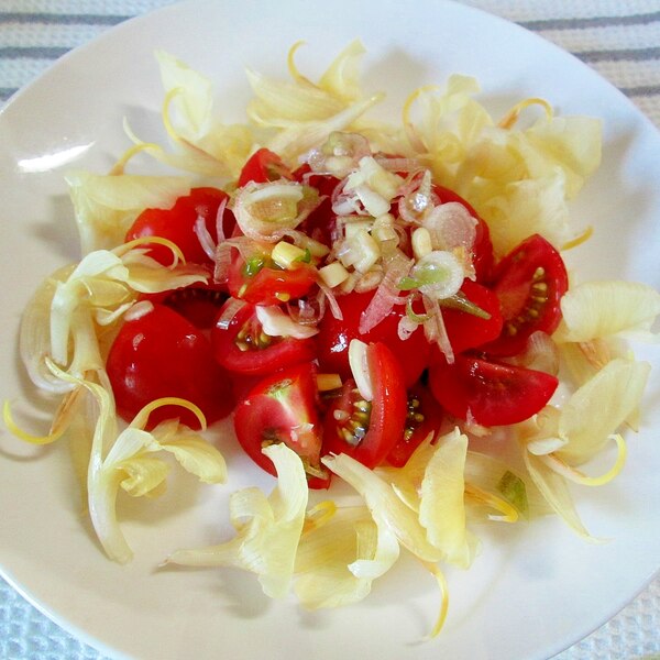 大人の味わい！「みょうが」は今が旬！ - たべる・そだつ・いきるを応援！こどもみーる kodomo meal