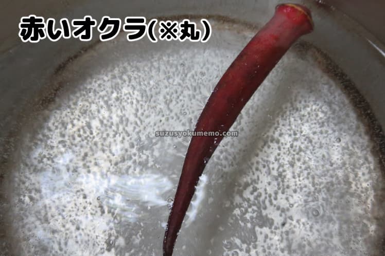 赤オクラ』～普通のオクラと何が違うの？～ずーやのメモ帳