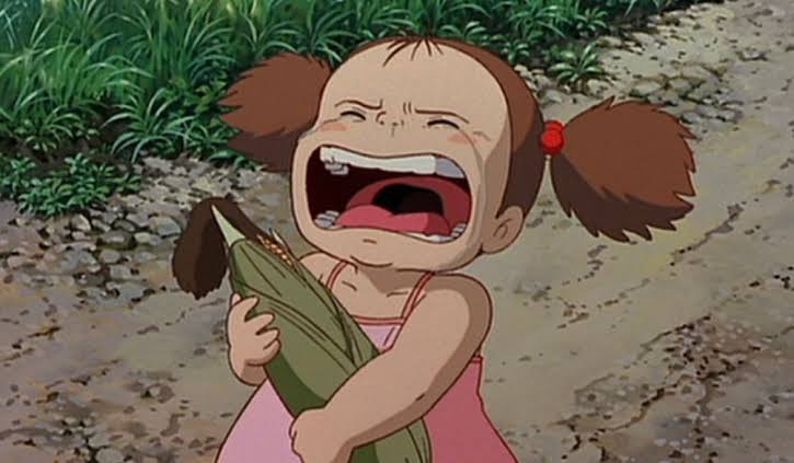 となりのトトロ 2025年とうもろこしギフトどんぐり共和国そらのうえ店