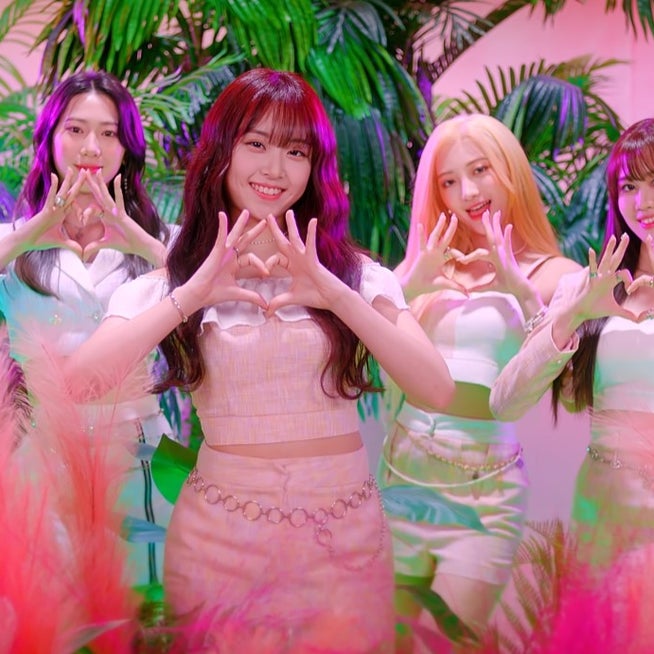 カーブス ヘルシービューティ Healthy Beauty きな粉ラテ味×2 カーブス ヘルシービューティー きな粉ラテ味