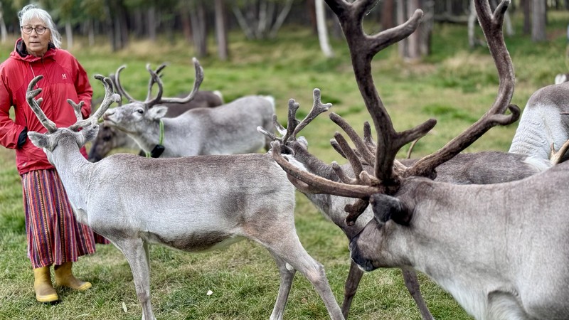 臭いは世界一？サメ肉を発酵させたアイスランドの伝統料理 写真9枚 ファッション ニュースならMODE PRESS powered by AFPBBNews