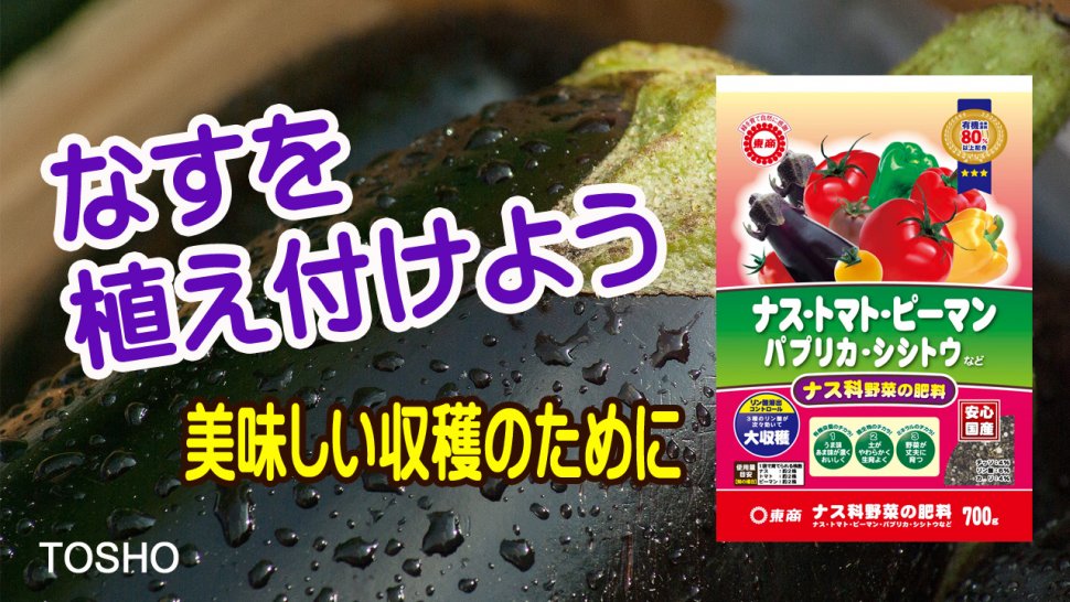 ナス科の野菜：知っておきたい種類、栄養、そして健康への影響 – 渥美半島とまとランド