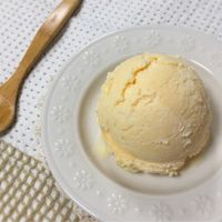 大人限定のお楽しみ♪アイス×お酒のカクテルレシピフーディストノート