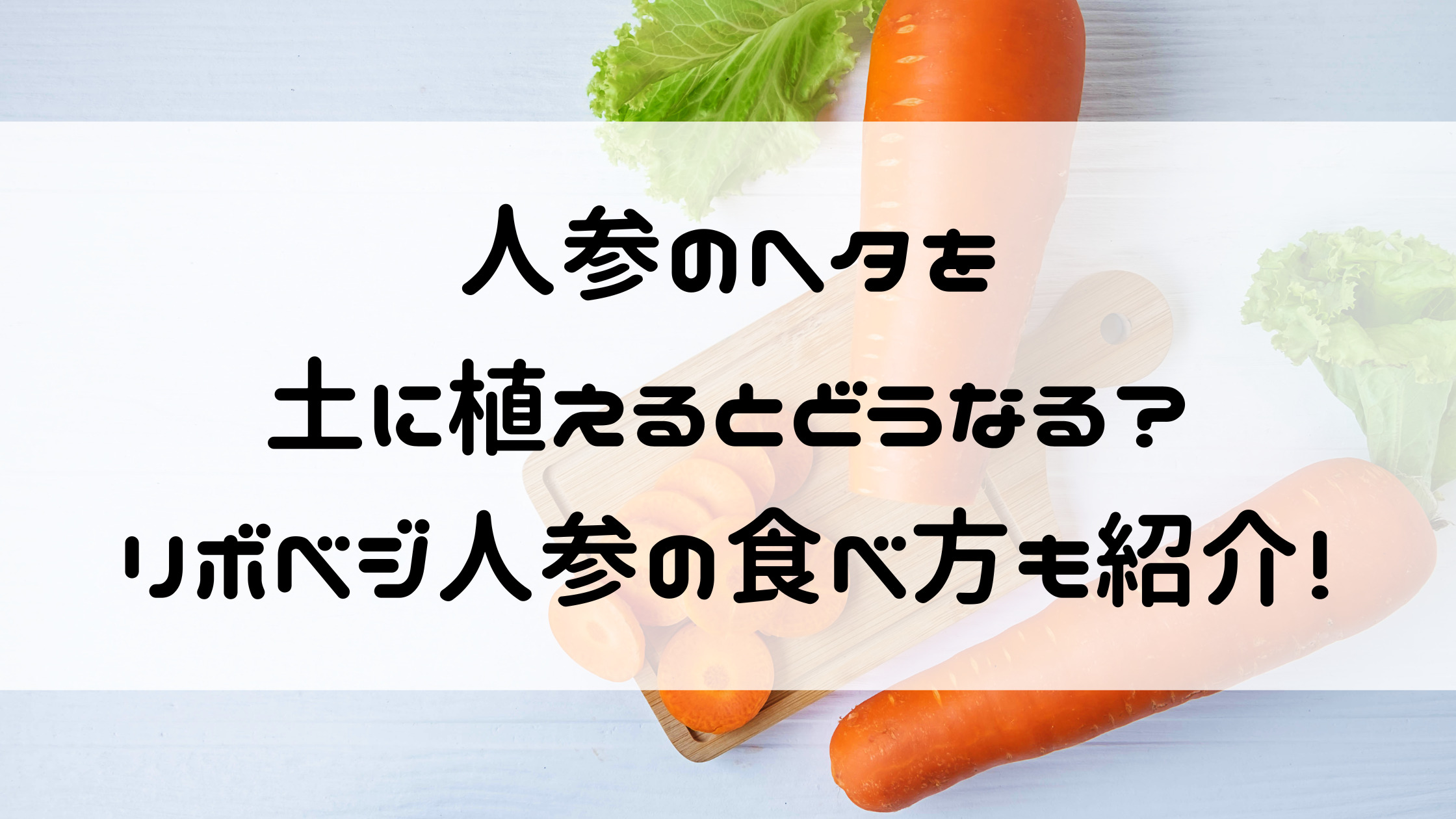 エコで手軽な「リボべジ」で癒しの緑を育ててみませんか？食 Do