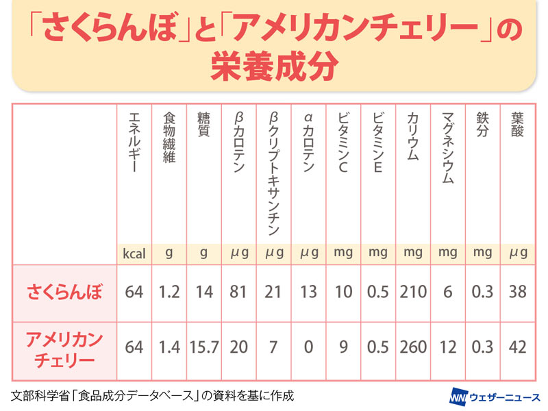 さくらんぼとアメリカンチェリーの違い、栄養情報や効果効能を解説！保存方法も要チェックkufura クフラ 小学館公式