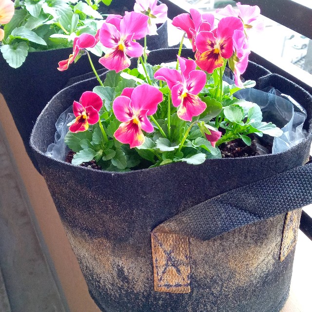 不織布 プランター」の人気商品一覧安い商品を通販サイトから探す - 価格.com