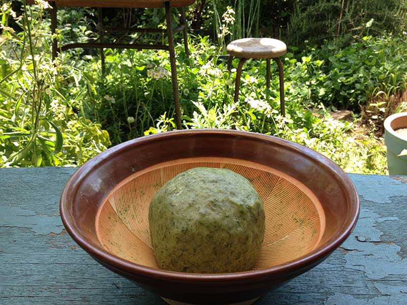 勝手に育つ野草・ヨモギの美味しい楽しみ方「ヨモギ入り雑炊」食べられる庭図鑑 - 天然生活web