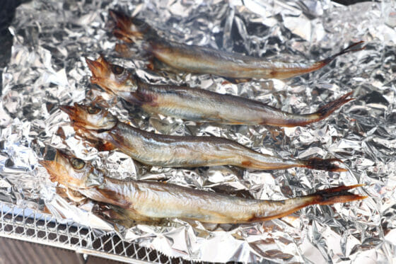 ししゃものおいしい焼き方、フライパン・グリル・トースターでのコツを伝授暮らしニスタ