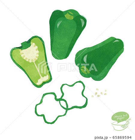 シンプルなピーマンの手書きイラスト219230898 毎月1点無料 フリー のストックフォト イメージマート
