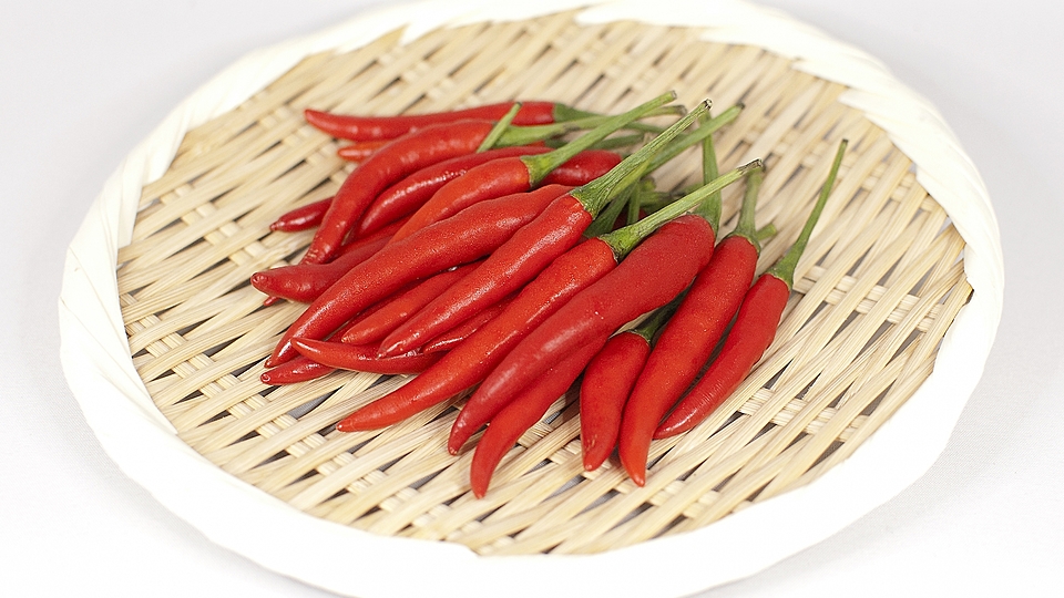 低木で育つ赤鳥の目唐辛子またはタイの唐辛子Premium写真