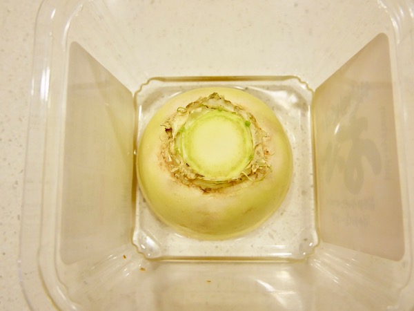 大根の葉を再生栽培！おいしい葉が自宅で栽培できるまどべじ